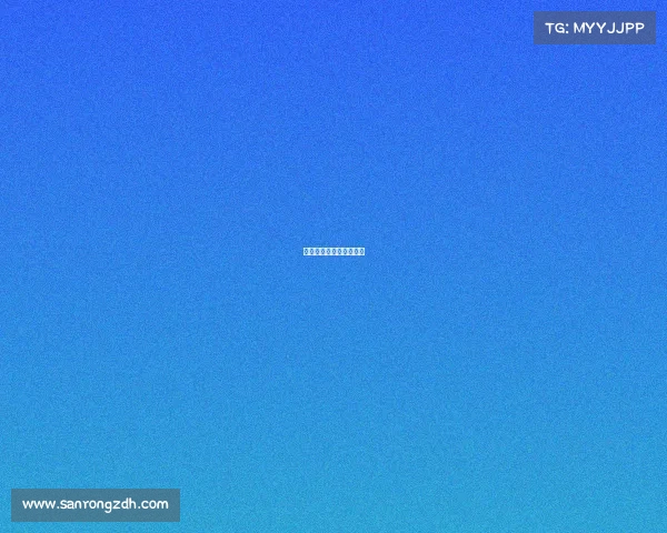 国家一级电子竞技裁判员